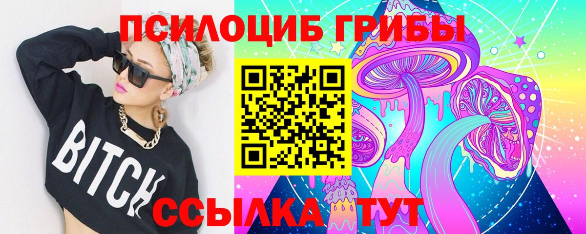 Железногорск  Псилоцибиновые грибы мицелий  Вход с VPN 