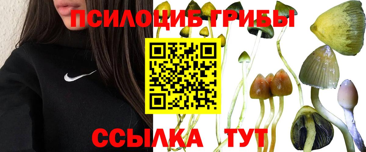 Галлюциногенные грибы GOLDEN TEACHER Железногорск